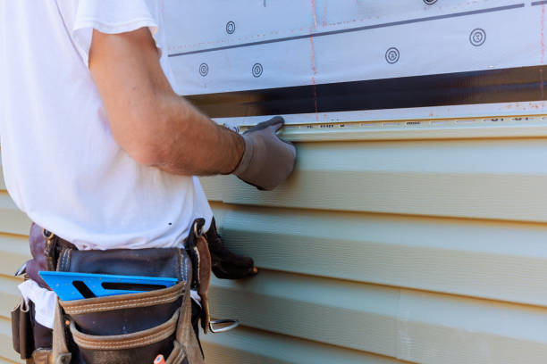 Affordable Siding Repair and Maintenance Services in Lexington, MN